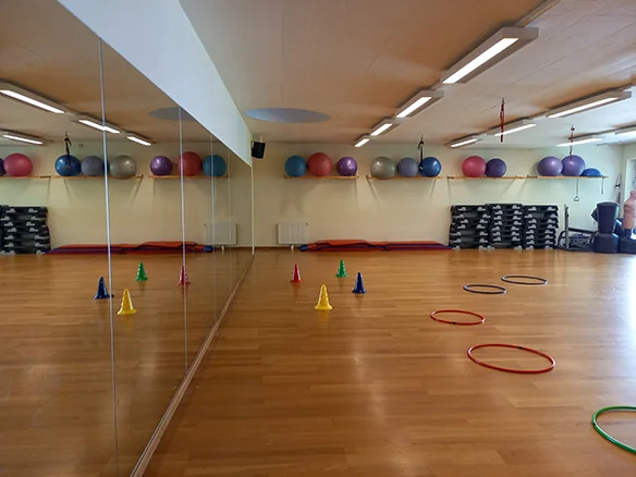Gym Mirror Activity Room at Vienna English Preschool
